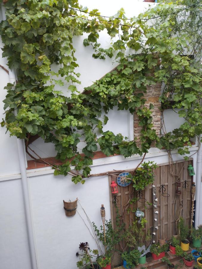 Apartamento Eg17 Arcos de la Frontera Exterior photo